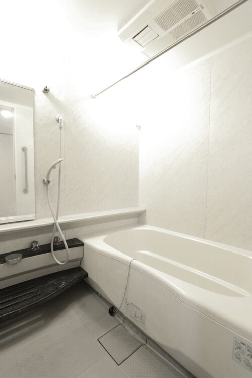 コアマンション南福岡ネクステージ　浴室